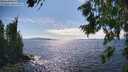 ./images/koeye/fitz-hugh/20260803/fitz-hugh20260803_162001M.jpg