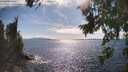 ./images/koeye/fitz-hugh/20260803/fitz-hugh20260803_165502M.jpg