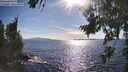 ./images/koeye/fitz-hugh/20260803/fitz-hugh20260803_173002M.jpg