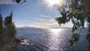 ./images/koeye/fitz-hugh/20260803/fitz-hugh20260803_174001M.jpg