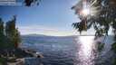 ./images/koeye/fitz-hugh/20260803/fitz-hugh20260803_185001M.jpg