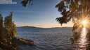 ./images/koeye/fitz-hugh/20260803/fitz-hugh20260803_203501M.jpg