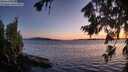 ./images/koeye/fitz-hugh/20260803/fitz-hugh20260803_213501M.jpg