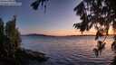 ./images/koeye/fitz-hugh/20260803/fitz-hugh20260803_214001M.jpg