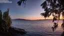 ./images/koeye/fitz-hugh/20260803/fitz-hugh20260803_214501M.jpg