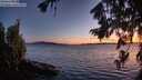 ./images/koeye/fitz-hugh/20260803/fitz-hugh20260803_215001M.jpg
