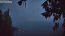 ./images/koeye/fitz-hugh/20260804/fitz-hugh20260804_051501M.jpg