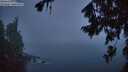 ./images/koeye/fitz-hugh/20260804/fitz-hugh20260804_052501M.jpg