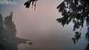 ./images/koeye/fitz-hugh/20260804/fitz-hugh20260804_063002M.jpg