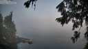 ./images/koeye/fitz-hugh/20260804/fitz-hugh20260804_064501M.jpg
