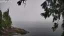./images/koeye/fitz-hugh/20260804/fitz-hugh20260804_094002M.jpg