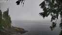 ./images/koeye/fitz-hugh/20260804/fitz-hugh20260804_100502M.jpg