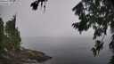 ./images/koeye/fitz-hugh/20260804/fitz-hugh20260804_102501M.jpg