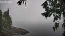 ./images/koeye/fitz-hugh/20260804/fitz-hugh20260804_110002M.jpg
