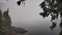 ./images/koeye/fitz-hugh/20260804/fitz-hugh20260804_110501M.jpg