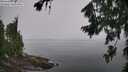 ./images/koeye/fitz-hugh/20260804/fitz-hugh20260804_120001M.jpg