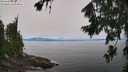 ./images/koeye/fitz-hugh/20260804/fitz-hugh20260804_122001M.jpg