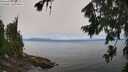 ./images/koeye/fitz-hugh/20260804/fitz-hugh20260804_123001M.jpg