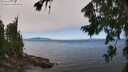 ./images/koeye/fitz-hugh/20260804/fitz-hugh20260804_124501M.jpg