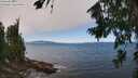 ./images/koeye/fitz-hugh/20260804/fitz-hugh20260804_125001M.jpg