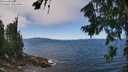 ./images/koeye/fitz-hugh/20260804/fitz-hugh20260804_125501M.jpg