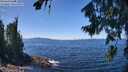 ./images/koeye/fitz-hugh/20260804/fitz-hugh20260804_131001M.jpg