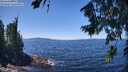 ./images/koeye/fitz-hugh/20260804/fitz-hugh20260804_131501M.jpg