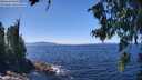 ./images/koeye/fitz-hugh/20260804/fitz-hugh20260804_134001M.jpg