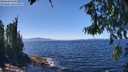 ./images/koeye/fitz-hugh/20260804/fitz-hugh20260804_134501M.jpg