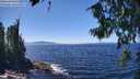 ./images/koeye/fitz-hugh/20260804/fitz-hugh20260804_135001M.jpg