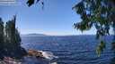 ./images/koeye/fitz-hugh/20260804/fitz-hugh20260804_135501M.jpg