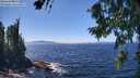 ./images/koeye/fitz-hugh/20260804/fitz-hugh20260804_140501M.jpg