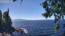 ./images/koeye/fitz-hugh/20260804/fitz-hugh20260804_141001M.jpg