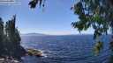./images/koeye/fitz-hugh/20260804/fitz-hugh20260804_141501M.jpg