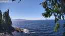 ./images/koeye/fitz-hugh/20260804/fitz-hugh20260804_142002M.jpg