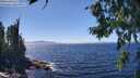 ./images/koeye/fitz-hugh/20260804/fitz-hugh20260804_142501M.jpg
