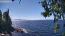 ./images/koeye/fitz-hugh/20260804/fitz-hugh20260804_143001M.jpg