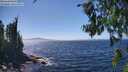 ./images/koeye/fitz-hugh/20260804/fitz-hugh20260804_144002M.jpg
