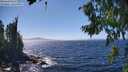 ./images/koeye/fitz-hugh/20260804/fitz-hugh20260804_144501M.jpg