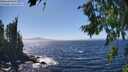 ./images/koeye/fitz-hugh/20260804/fitz-hugh20260804_145002M.jpg