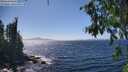 ./images/koeye/fitz-hugh/20260804/fitz-hugh20260804_150001M.jpg