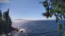 ./images/koeye/fitz-hugh/20260804/fitz-hugh20260804_150501M.jpg