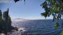 ./images/koeye/fitz-hugh/20260804/fitz-hugh20260804_151001M.jpg