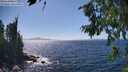 ./images/koeye/fitz-hugh/20260804/fitz-hugh20260804_152001M.jpg