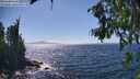 ./images/koeye/fitz-hugh/20260804/fitz-hugh20260804_152502M.jpg