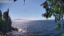 ./images/koeye/fitz-hugh/20260804/fitz-hugh20260804_153002M.jpg