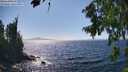 ./images/koeye/fitz-hugh/20260804/fitz-hugh20260804_153501M.jpg