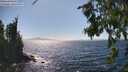 ./images/koeye/fitz-hugh/20260804/fitz-hugh20260804_154501M.jpg