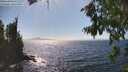 ./images/koeye/fitz-hugh/20260804/fitz-hugh20260804_155001M.jpg