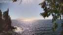 ./images/koeye/fitz-hugh/20260804/fitz-hugh20260804_162001M.jpg